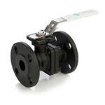 Carbon Steel Pipe Flanges